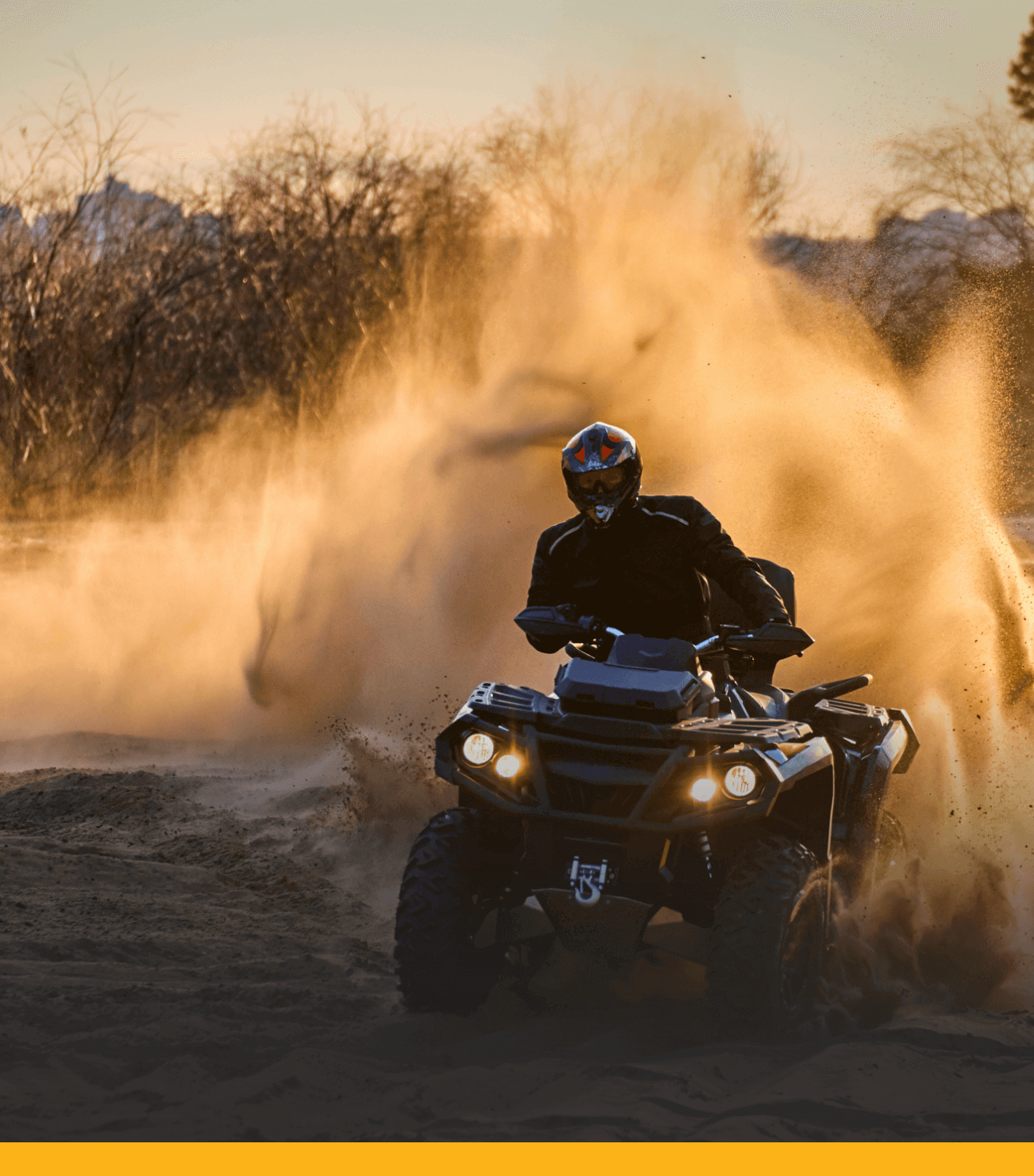 Our Products Theft Protection